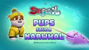 Sea Patrol: Pups Save a Narwhal