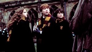 Harry Potter und die Kammer des Schreckens (2002)