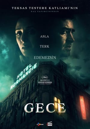 Poster Gece 2021