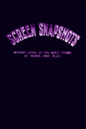 Image Screen Snapshots (Series 25, No. 1): 25th Anniversary