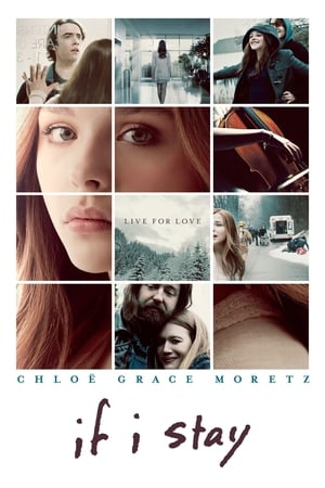 Poster If I Stay 2014