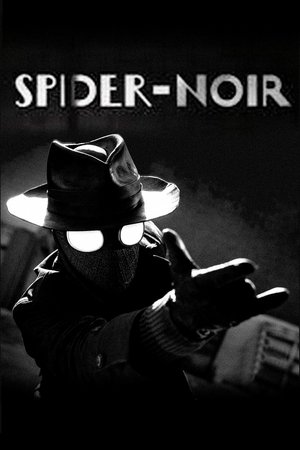 Image Spider-Noir