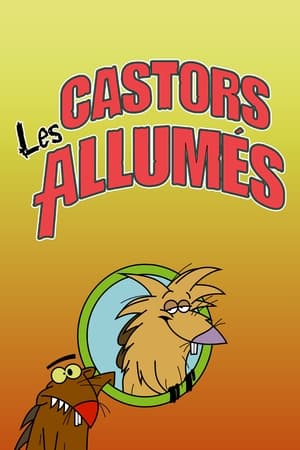 Image Les Castors allumés