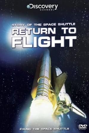 Space Shuttle: Return to Flight (2012)