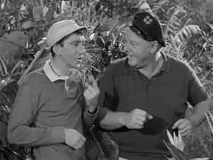 La isla de Gilligan: 1×36