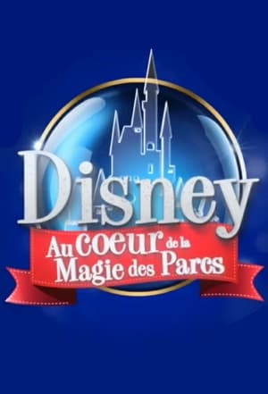 Poster Disney : Au Cœur de la Magie des Parcs 2015