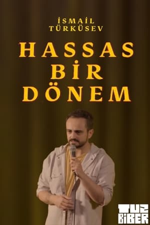 Poster Hassas Bir Dönem - İsmail Türküsev (2023)