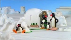 Pingu Pingu and the Hose