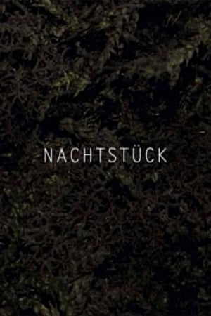 Nachtstück (2017)