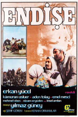 Poster Endişe 1974
