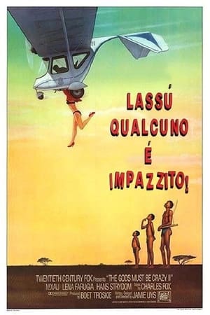 Poster di Lassù qualcuno è impazzito