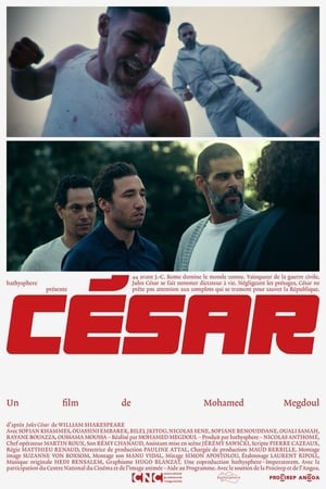 Poster César 2019