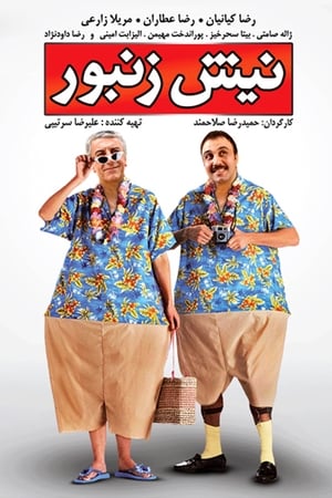 Poster Nish O Zanboor (2009)