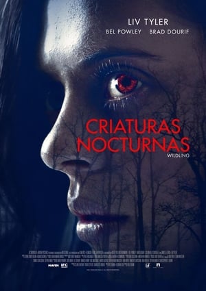 Poster Criaturas nocturnas 2018