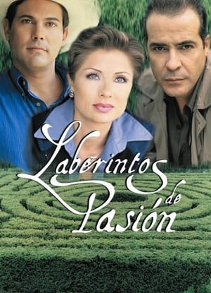 Labyrinth of Passion poster