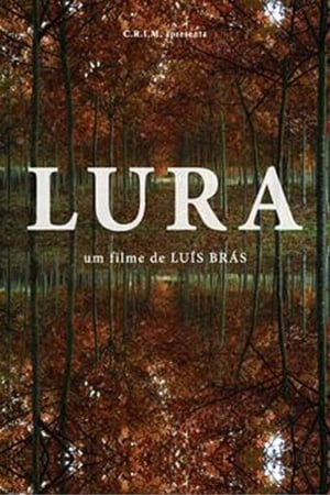 Poster Lura 2013