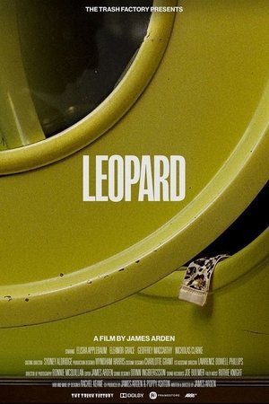 Poster Leopard 2020