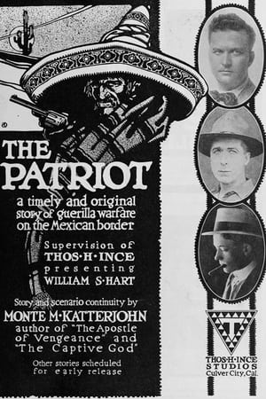 Poster The Patriot 1916