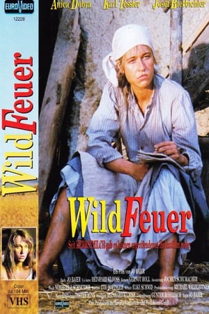 Poster Wildfeuer 1991