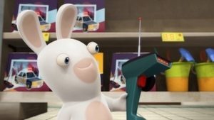 R.C. Rabbid