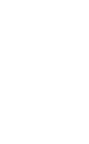 Logo Skai