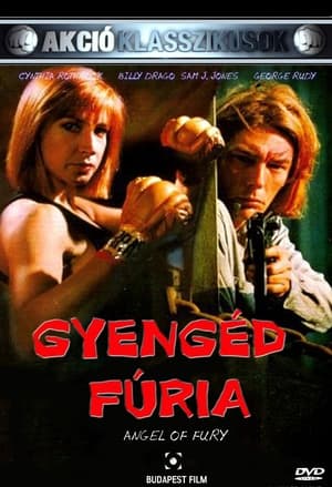 Gyengéd fúria 1993