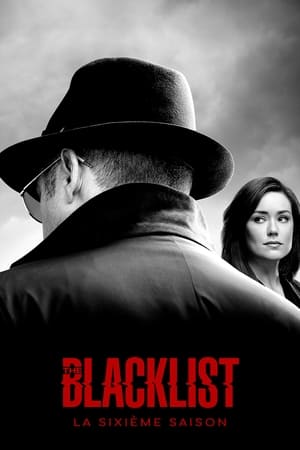 Blacklist: Saison 6