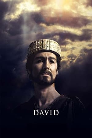 David poster