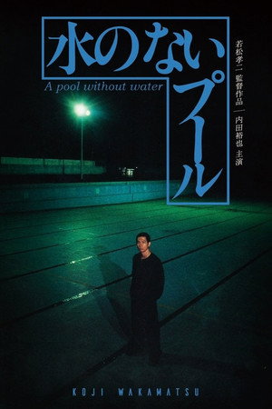 A Pool Without Water 15