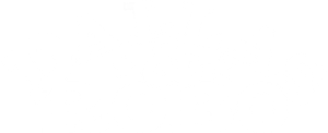 Dallas & Robo