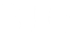 BIG — Logos 2