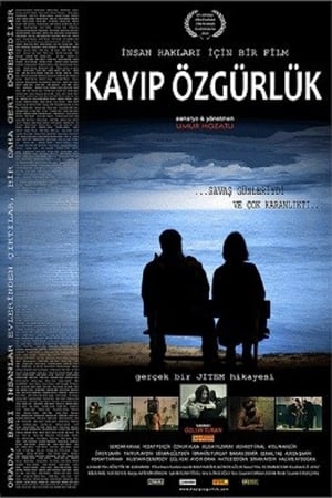 Poster Kayıp Özgürlük (2011)