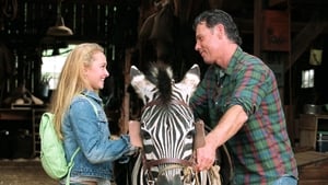 Im Rennstall ist das Zebra los (2005)