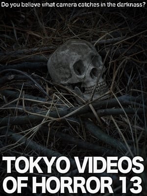 Poster Tokyo Videos of Horror 13 (2015)