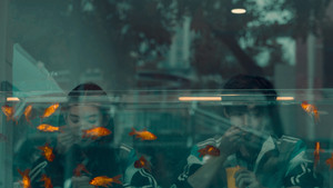 poster The First Frost