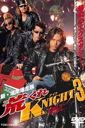 Poster 荒くれKNIGHT3 1999