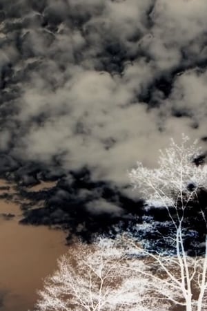 Poster Clouds and Trees (2020)