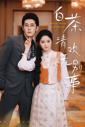 白茶清欢无别事