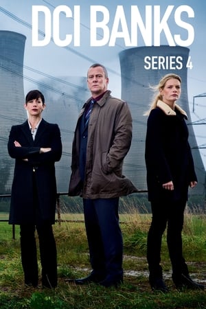 DCI Banks: Seizoen 4