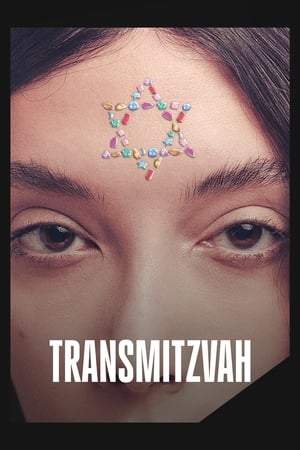 Transmitzvah 2024