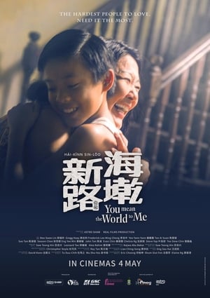Poster You Mean The World To Me (2017)