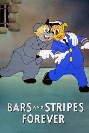 Bars and Stripes Forever poster