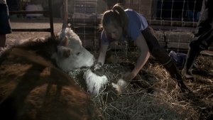 Dr. Oakley, Yukon Vet Baby Boom