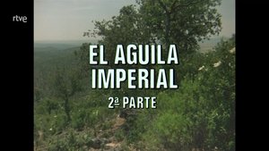 Episode 63