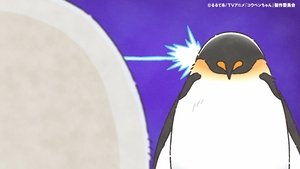 Episode 31 on Koupen-chan Season 1 Episode 31 – November 2, 2025