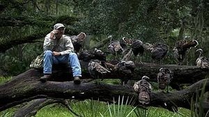 Natural World 31×1 – My Life as a Turkey