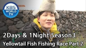 Yellowtail Fish Fishing Race (1)