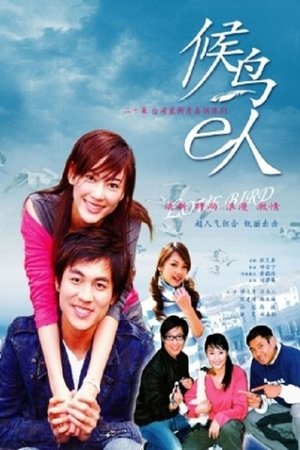 Poster Love Bird 2004