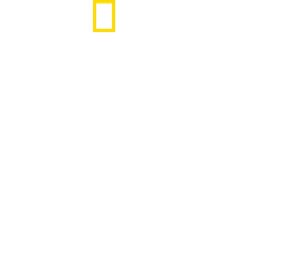 When Sharks Attack 360 — Logos 10