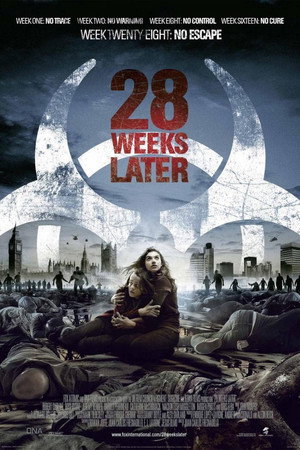 Постер фильма «28 недель спустя (2007)» — (24 из 110)
